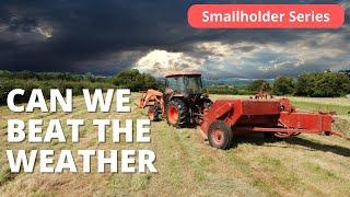 Hay Making in the UK: Race Against the Rain