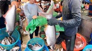 AMAZING! Alive Fish, Dried Fish, Sausage, Beef, Seafood, Crab, Snail |  Cambodian Street Food