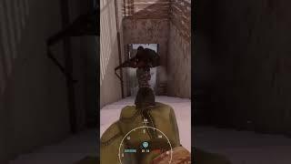 Forgot people were immune to 9mm #gaming #dumb #gameplay #insurgencysandstorm