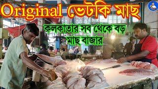 Kolkata New market famous fish market | S.S. Hog Market | Vetki fish cutting | Kolkata fish market