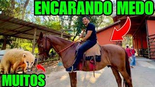 Andando de CAVALO e procurando QUATI em Águas de São Pedro | Aves Experience | BN vlogs