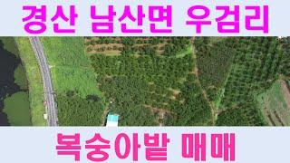 경산시 남산면 우검리 복숭아밭 매매