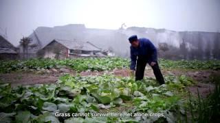 How China's fertilizer industry is endangering villager lives