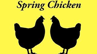 'Spring Chicken' - by Chloe Huntington / Official Audiobook