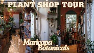 Plant Shop Tour ARIZONA | Rare cacti, unique pottery and popular houseplants 