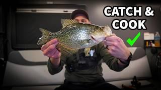 Hunting Crappie on the Ice! Catch and Cook while Ice Fishing