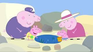 Heo Peppa | Bạn voi Emily | Clip | Heo Peppa Tiếng Việt | Phim Hoạt Hình