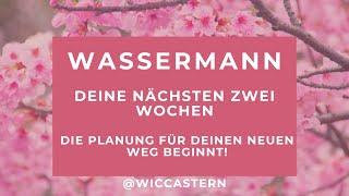 WASSERMANN Tarot | DEINE NÄCHSTEN ZWEI WOCHEN | DIE PLANUNG BEGINNT FÜR DEN NEUEN WEG BEGINNT!