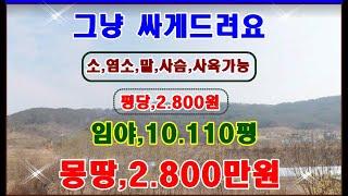 물번.391번) 염소,사슴등 가축사육가능지역, 임야10.110평 몽땅,2.800만원에 드려요 ~공시지가도3.000만원이나 나가는 임야,농림지역,임업용산지입니다 임도에서 조금떨어진곳