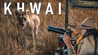 You Won't Believe What Happened on Our Botswana Safari (Khwai)