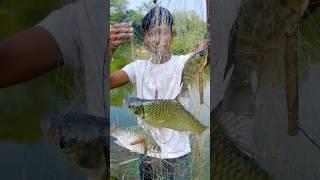 kitne sare machli mila mujhe(051) hindi village fishing video || village fishing vlog ||