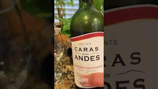 Red Wine Cabernet Sauvignon #shorts #redwine #cabernetsauvignon #winetime #wine