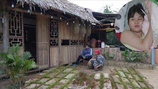 Our Wooden House Is 90% Complete: A Lush Green Lawn Now Covers the Concrete Yard / SUNG A PAO