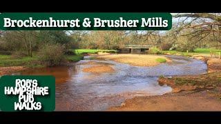 #94 Rob's Hampshire Pub Walks - Brockenhurst & Brusher Mills Walk - New Forest National Park