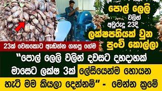 අනාත නොවී අලුත් අවුරුද්දේ පොල් ලෙලි බිස්නස් එක හරියට කරමු - Coco Dreams | Coconut Husk Chips