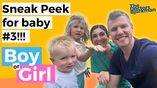 Early Testing for Baby's Sex | Home Testing and Our Own Baby's Gender Reveal!