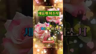 #새롭게 하소서  #찬양 # #youtube #성헌방송국 TV