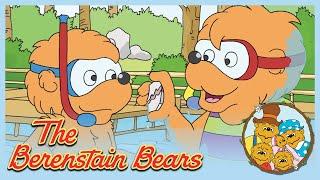 Berenstain Bears: Too Much Junk Food/ Go To Camp - Ep.13