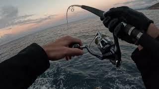 Shore Jigging - Rainy day Albacores