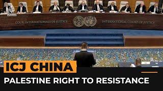 China to ICJ: Palestine has ‘inalienable right’ to armed resistance | #AJshorts