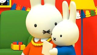 Mummy's Birthday Surprise | Miffy | Full Episodes