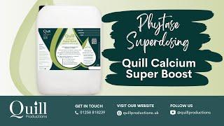 Phytase Super Dosing in Drinking Water with Quill Calcium Super Boost