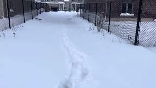 First Winter Storm Effects Dundalk, Ontario 