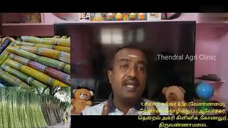 கரும்பு சாகுபடியில் களைக் கட்டுப்பாட்டு முறைகள்/Thendral Agri clinic/கரும்பு சாகுபடியில் அதிக மகசூல்