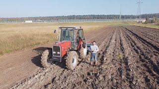 Ziemniaczaną i Siewną Batalie Czas Zacząć