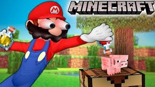 Mario experiments in Minecraft #1