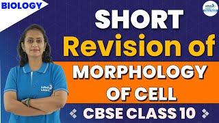 Morphology of Cell - Fundamental Unit of Life || Class 9 Science || Infinity Learn Class 9&10