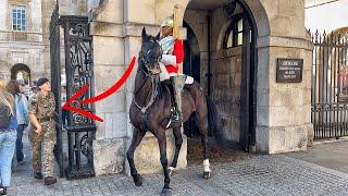 King's Horse has had Enough of IDIOTS and Quits