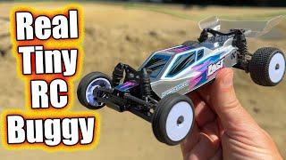 Cheap Micro RC Race Car Everyone Needs! Losi Micro-B