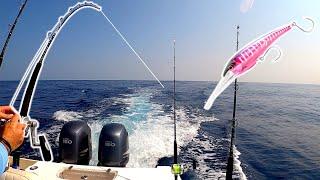 WAHOO Bite In Morehead City North Carolina