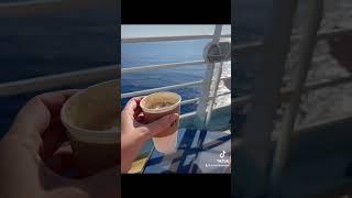 Premium Drinks Package - Marella Cruise (Tui)