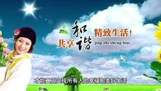 《贫穷的本质》读后启发