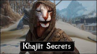 Skyrim: 5 Things They Never Told You About The Khajiits