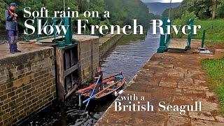 Soft rain on a slow French river - with a British Seagull