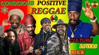 Conscious Reggae Mix 2024! Sizzla, Luciano, Bushman, Anthony B, Cocoa Tea, Turbulence & More