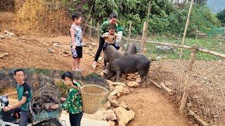 Rescue piglets from pig traders. Make a sleeping place for piglets