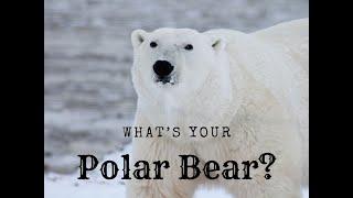 What's your polar bear? Mark Agnew Full Story Keynote