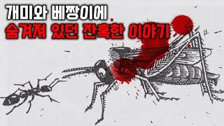 알고보면 너무나 잔혹한 개미와 베짱이 속 숨겨진 이야기