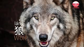 How to say Wolf in Chinese | 狼 lang  | say chinese real human voice