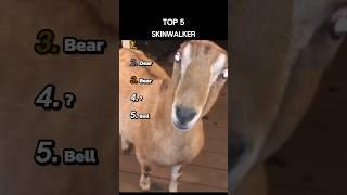Top 5 Skinwalker