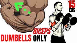 15 BEST BICEPS EXERCISES AT HOME WITH DUMBELLS ONLY / SUPER EXERCISES MUSCULATION BICEPS HALTERES