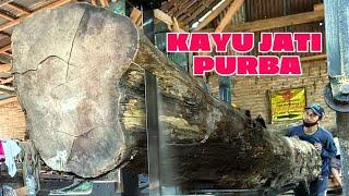 wujud monster asli kayu purba yg mengerikan angker digraji kesulitan karena keras@materjoglo