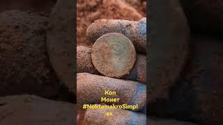 коп монет с металлоискателем #копмонет