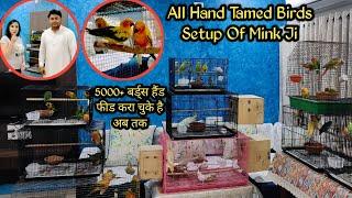 Handtamed Birds Of Mink Purohit Ji || Sun Conure, Cockatiel, Love Birds, Show Budgies ||