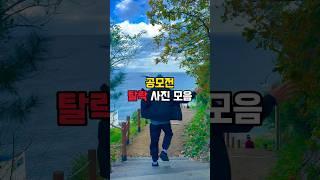떨어지고 또 떨어진 내 공모전 사진들