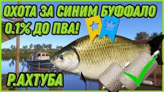 0.1 % ДО ПВА !! ОХОТА НА СИНЕГО БУФФАЛО | Русская Рыбалка 4  [PC 2018]